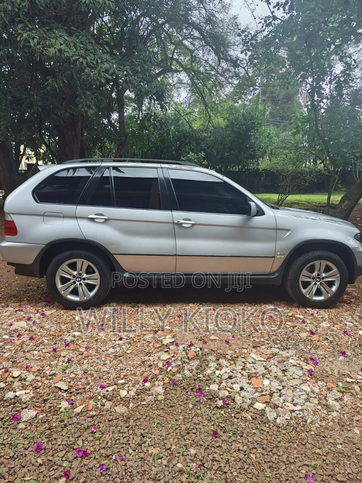 BMW X5 2006 Silver