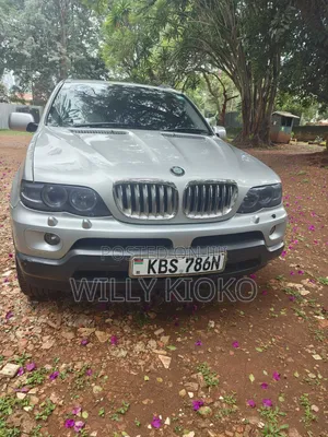 BMW X5 2006 Silver