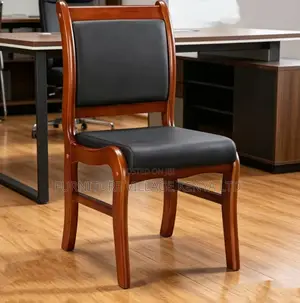 Executive Director Visitor Chair