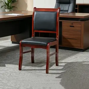 Executive Director Visitor Chair