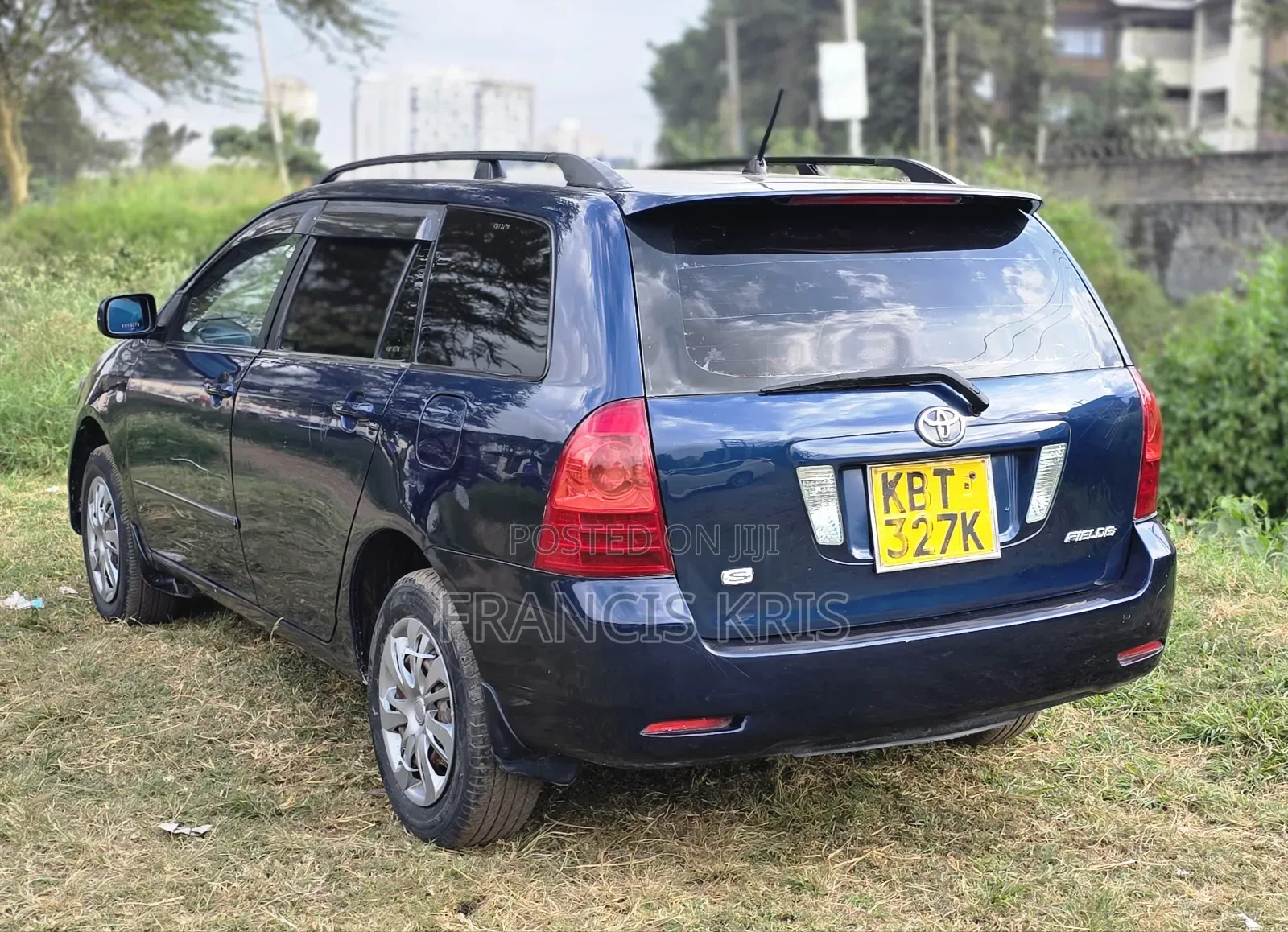 Toyota Corolla Fielder 2006 Blue