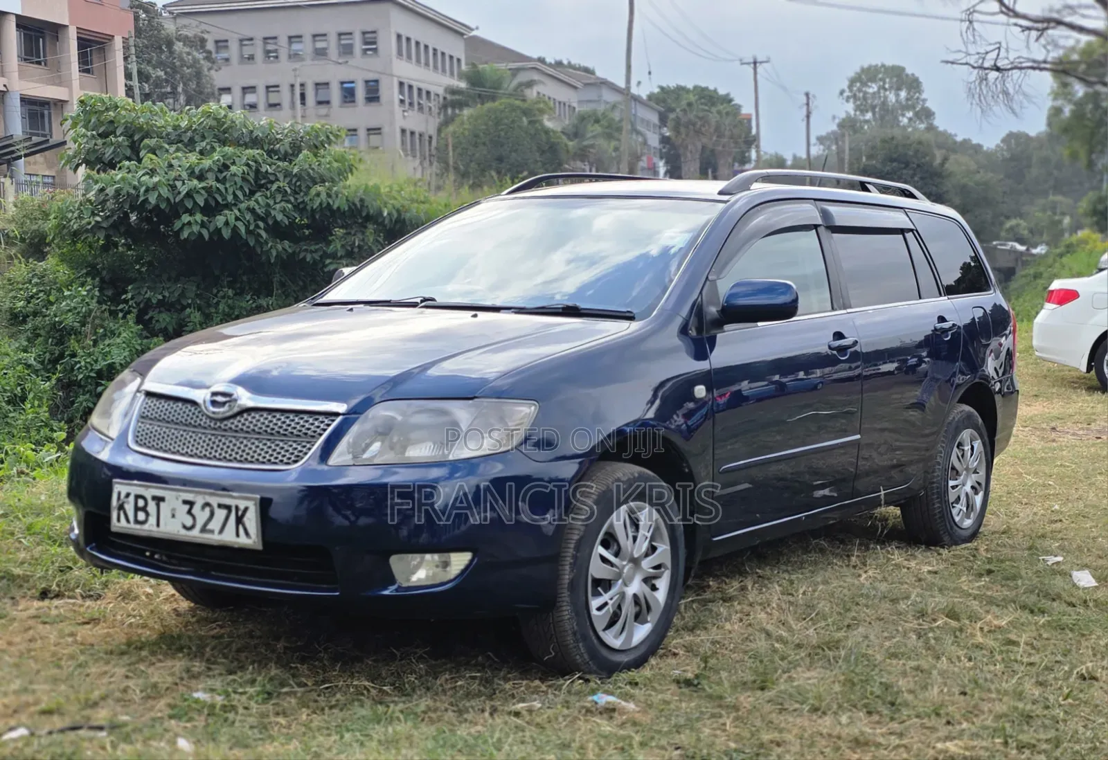 Toyota Corolla Fielder 2006 Blue