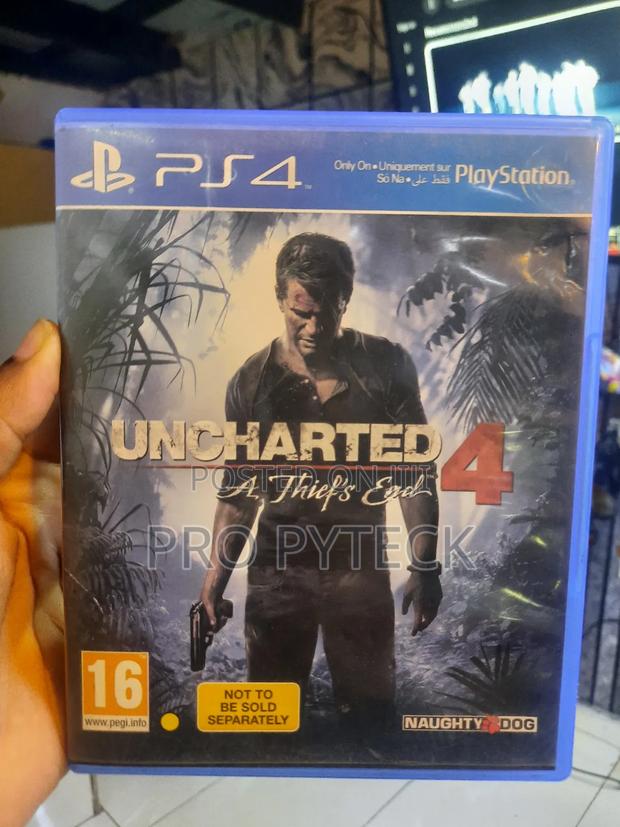 Uncharted Thieves End 4 - main view