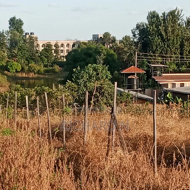 Prime 100x100 Plots for Sale at Muthatari Embu. - thumbnail 2