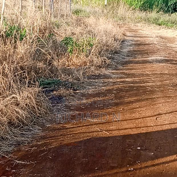 Prime 100x100 Plots for Sale at Muthatari Embu. - thumbnail 7