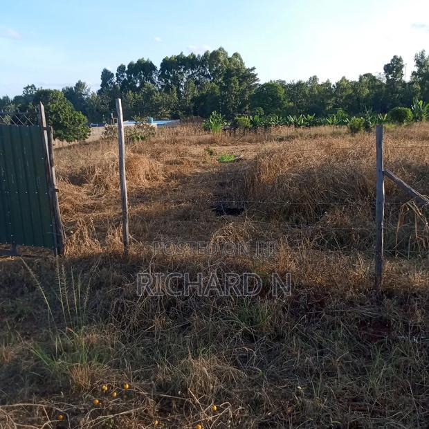 Prime 100x100 Plots for Sale at Muthatari Embu. - thumbnail 8