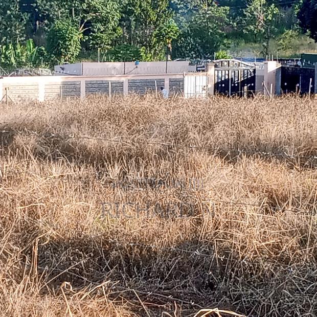 Prime 100x100 Plots for Sale at Muthatari Embu. - thumbnail 10