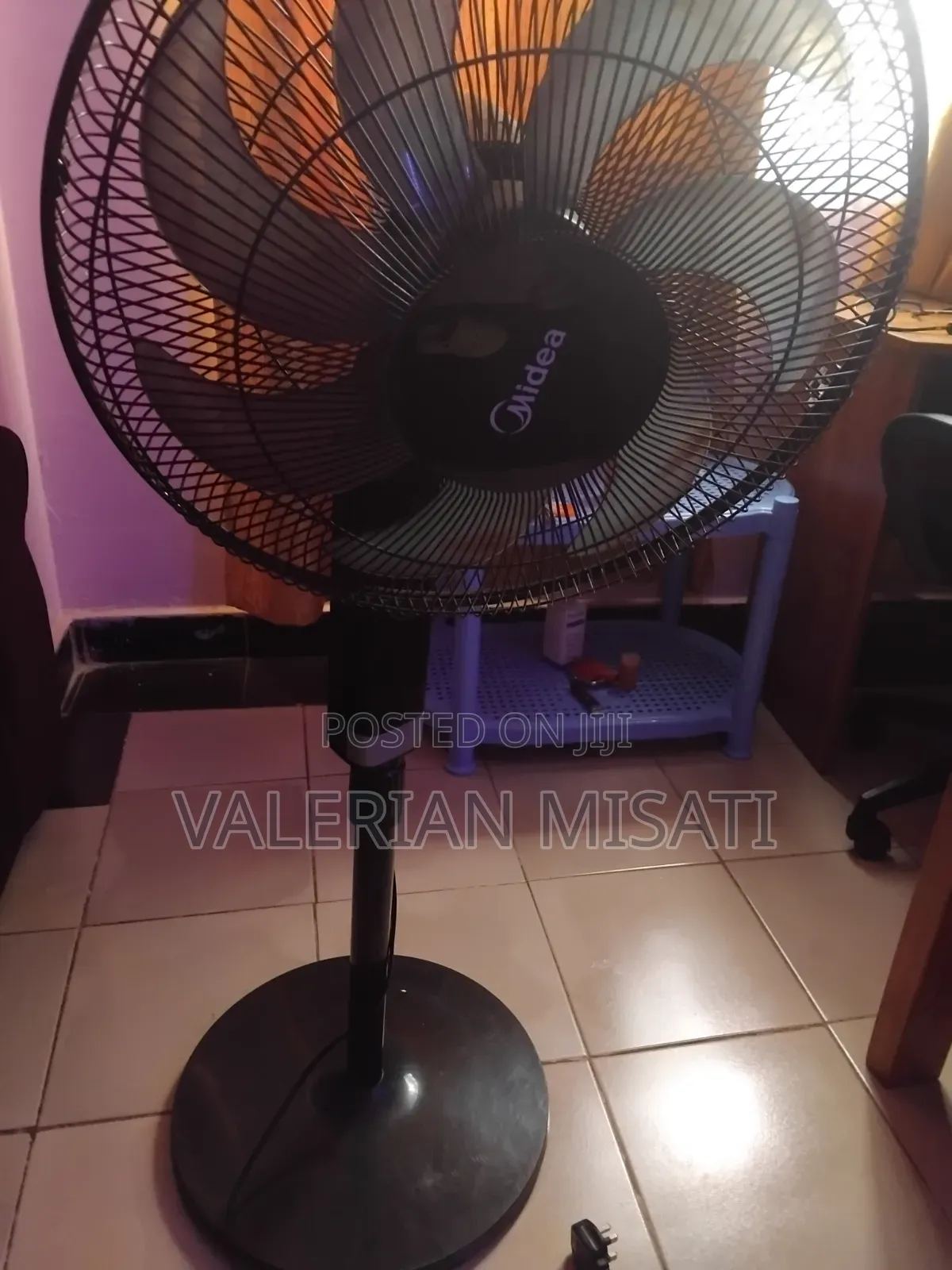 Pedestal Fan