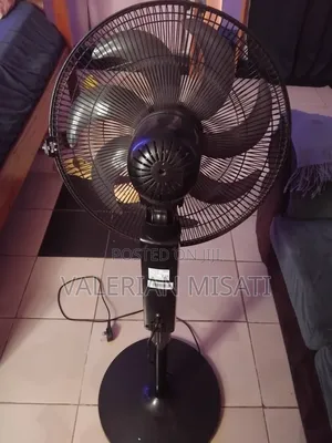Pedestal Fan