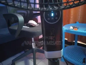 Pedestal Fan