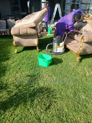 Broad Spectrum Sofaset Cleaning Near You