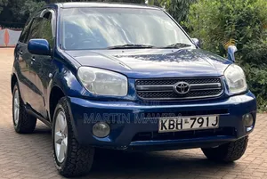 Toyota RAV4 2004 Blue