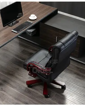 Office Chair : Executive Bliss Leather Chair