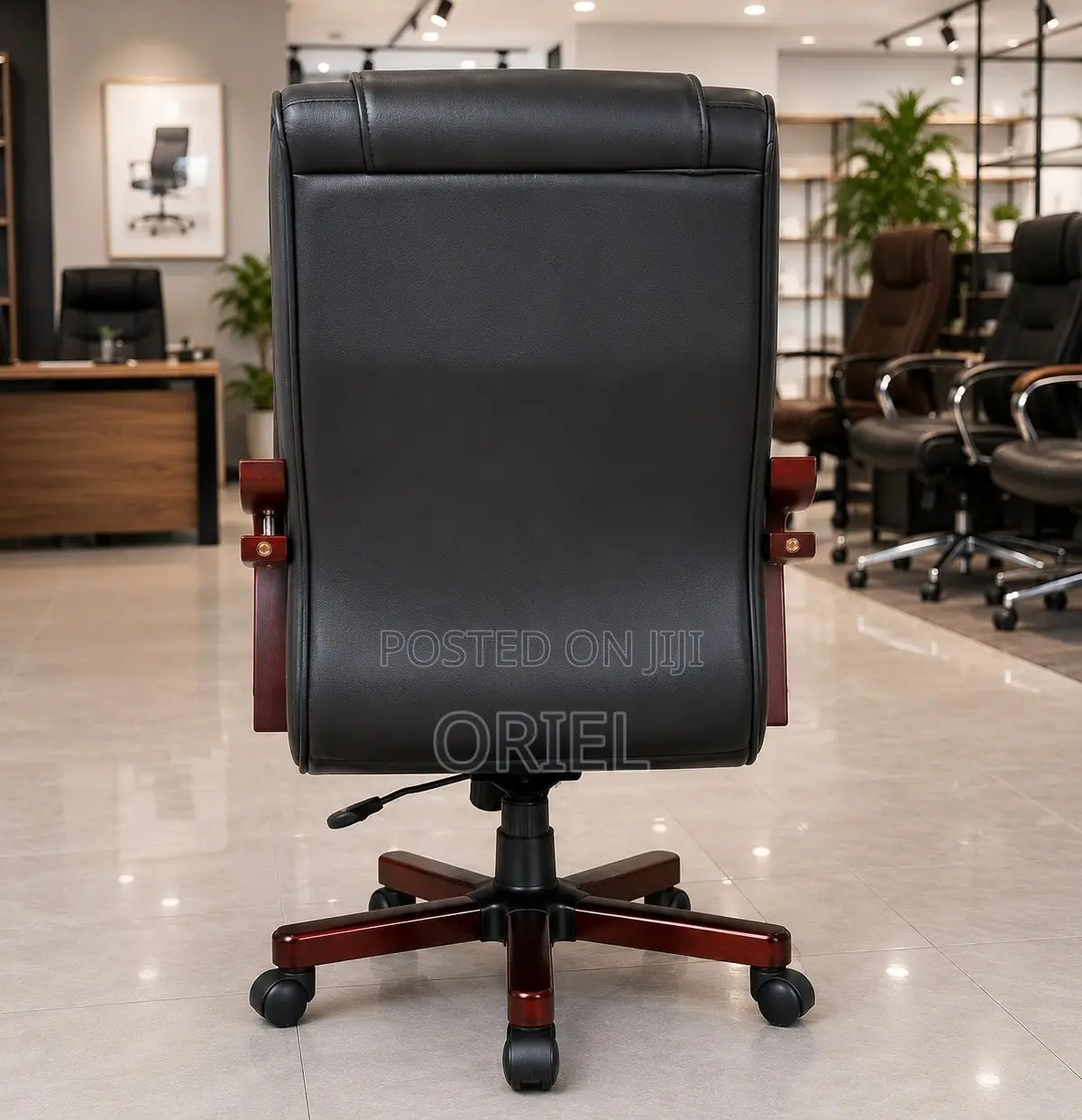 Office Chair : Executive Bliss Leather Chair