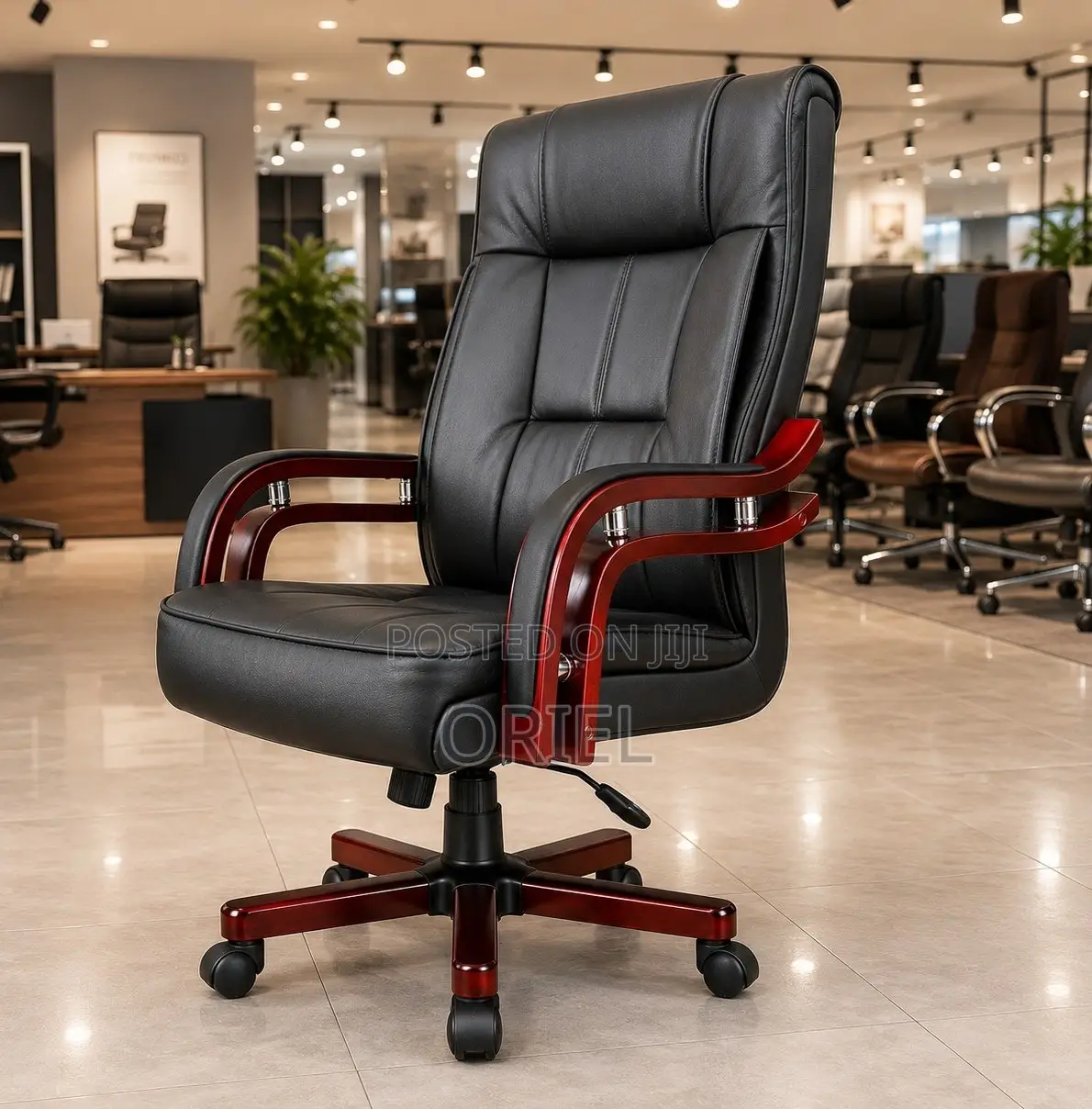 Office Chair : Executive Bliss Leather Chair