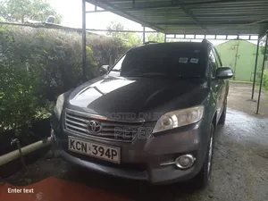 Toyota RAV4 2010 Gray