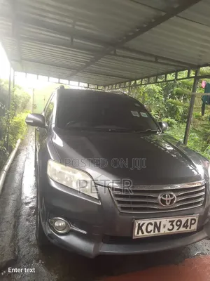 Toyota RAV4 2010 Gray