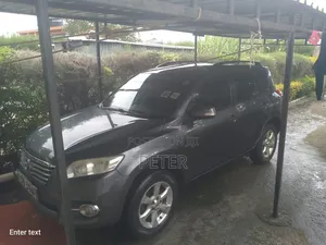 Toyota RAV4 2010 Gray