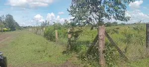 60 Acres Prime Land for Sale – Makuyu, Murang’A County