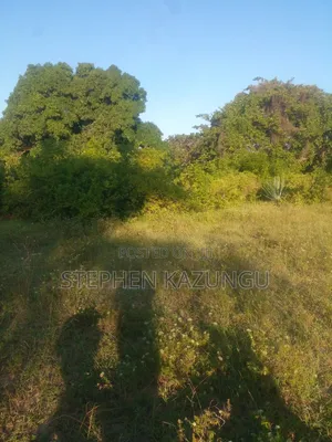 1/4 Acre Plot on Sale at Kombani on the Way to Kwale Road Side