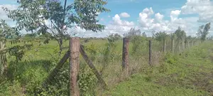 60 Acres Prime Land for Sale – Makuyu, Murang’A County