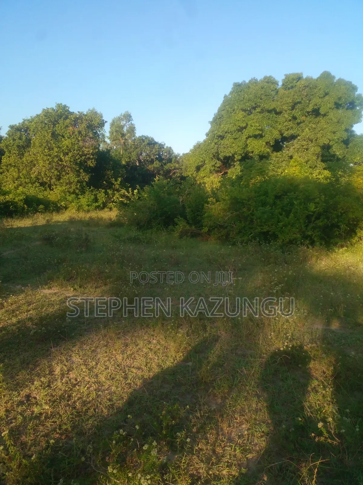 1/4 Acre Plot on Sale at Kombani on the Way to Kwale Road Side