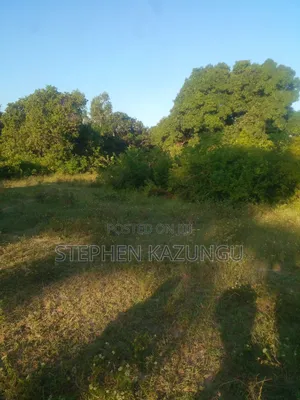 1/4 Acre Plot on Sale at Kombani on the Way to Kwale Road Side