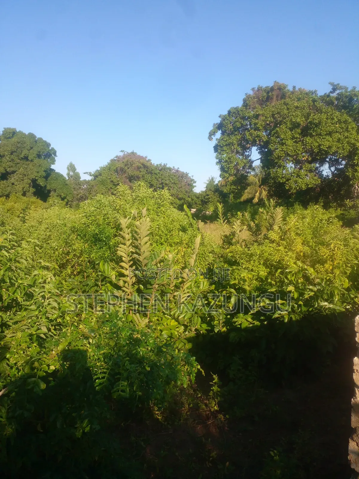 1/4 Acre Plot on Sale at Kombani on the Way to Kwale Road Side