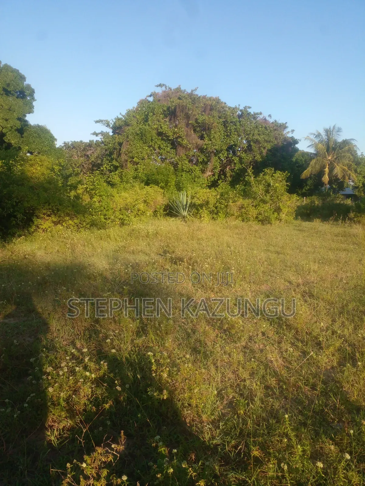 1/4 Acre Plot on Sale at Kombani on the Way to Kwale Road Side