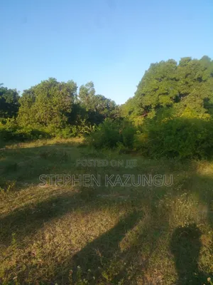 1/4 Acre Plot on Sale at Kombani on the Way to Kwale Road Side