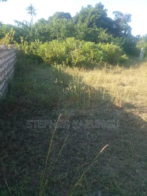 1/4 Acre Plot on Sale at Kombani on the Way to Kwale Road Side