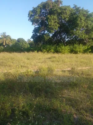 1/4 Acre Plot on Sale at Kombani on the Way to Kwale Road Side