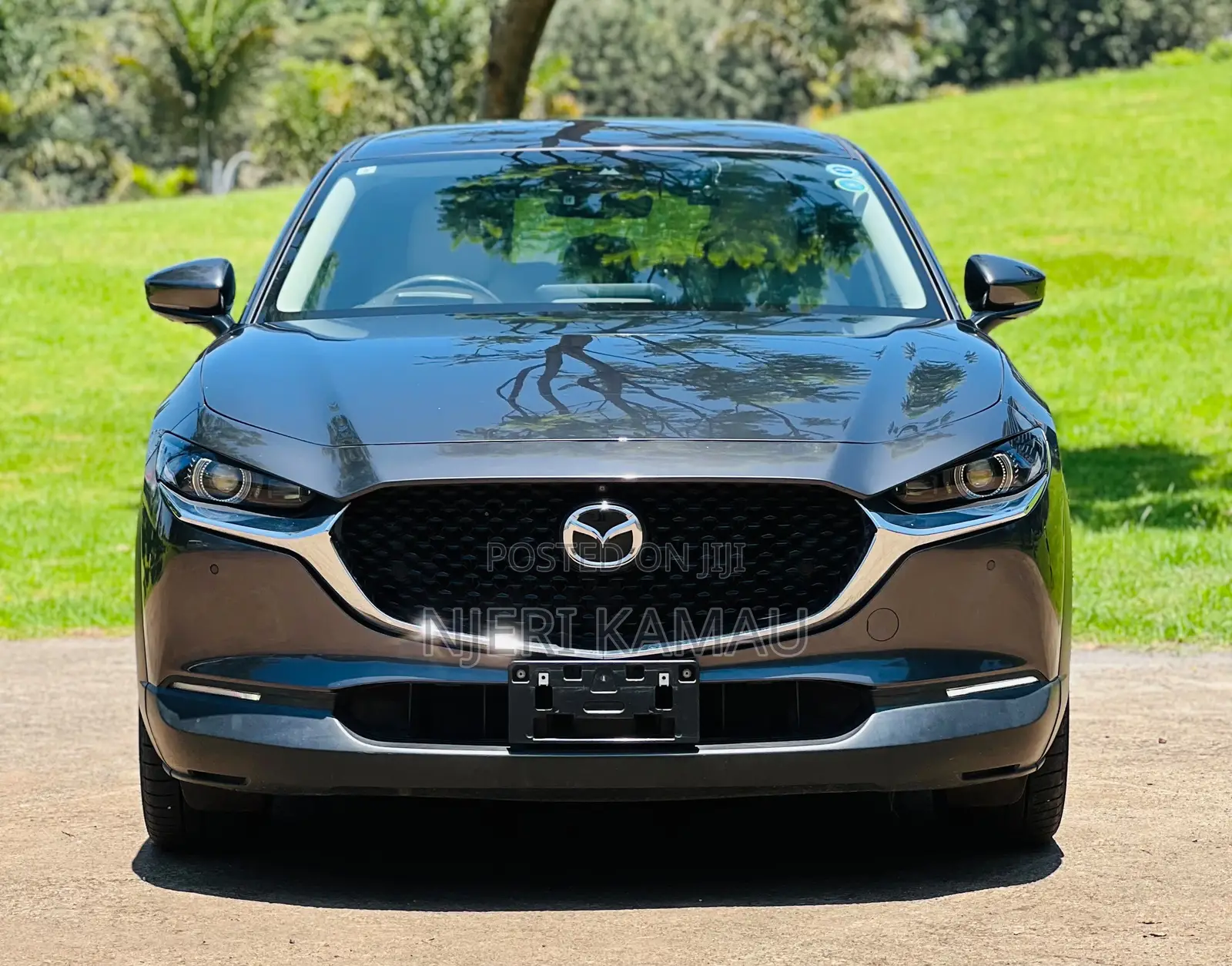 Mazda CX-30 2019 Gray