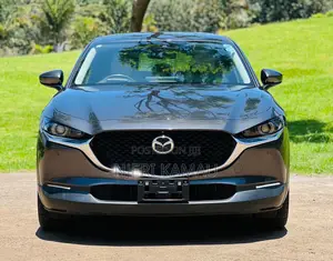 Mazda CX-30 2019 Gray