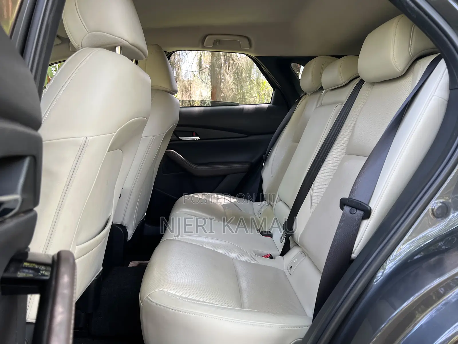 Mazda CX-30 2019 Gray