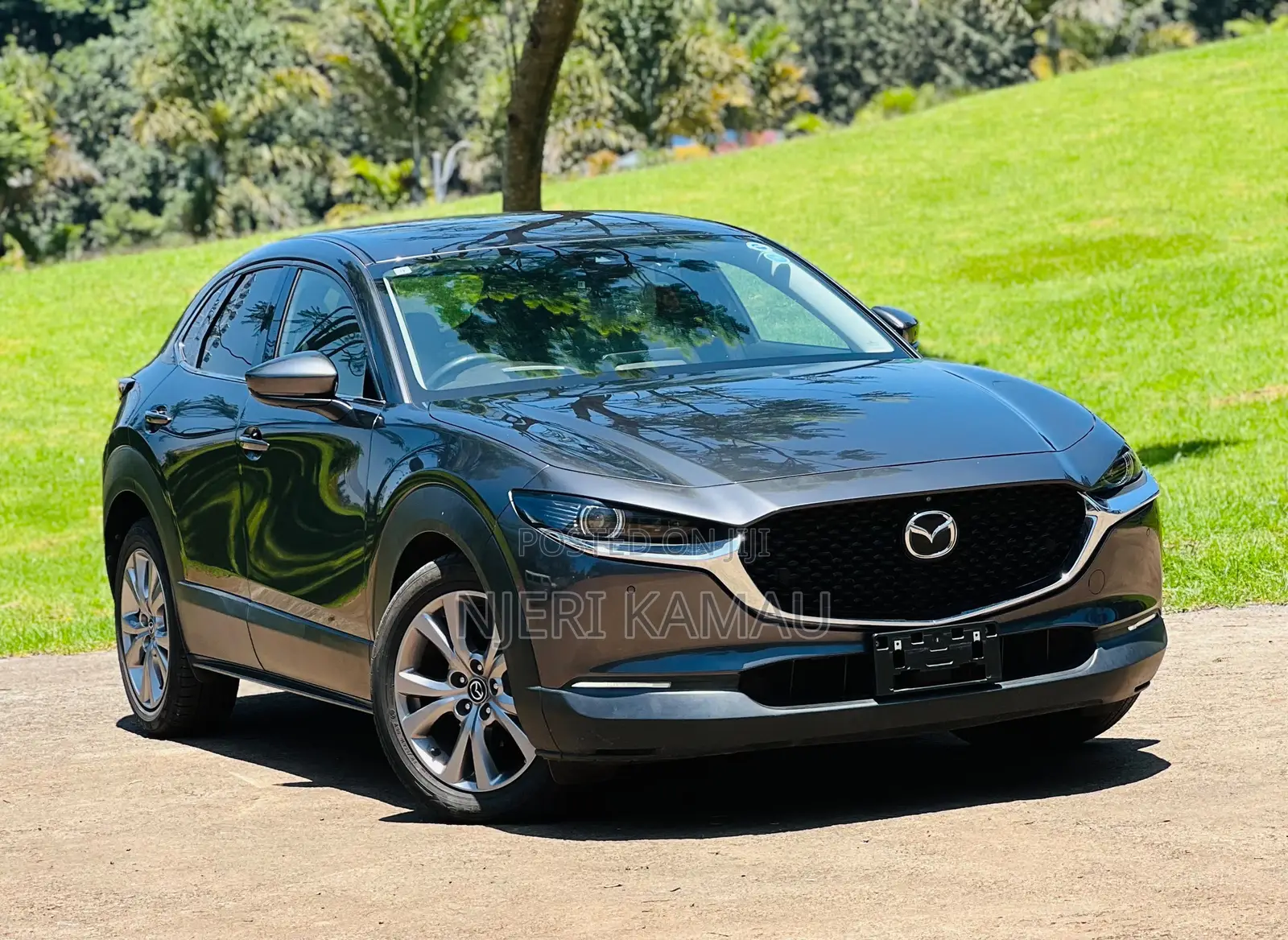 Mazda CX-30 2019 Gray