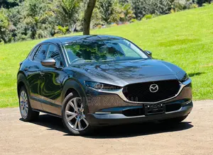 Mazda CX-30 2019 Gray