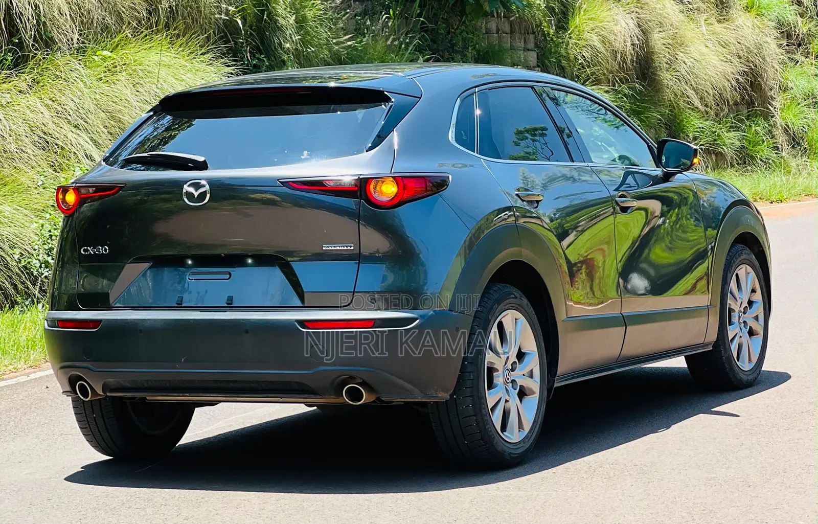 Mazda CX-30 2019 Gray