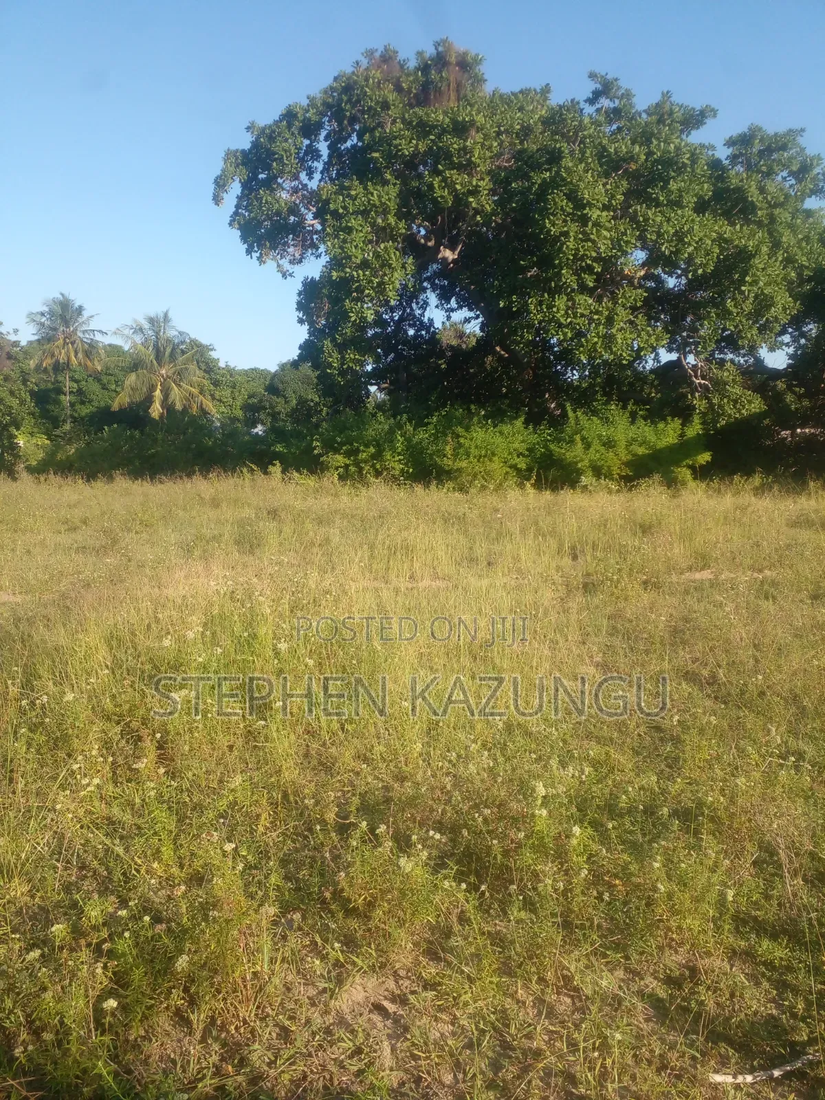 1/4 Acre Plot on Sale at Kombani on the Way to Kwale Road Side