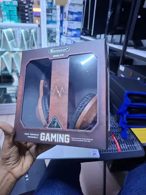 Pro Gaming Headset