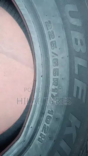225/65r17 Double King
