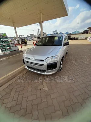 Toyota Probox 2019 Silver