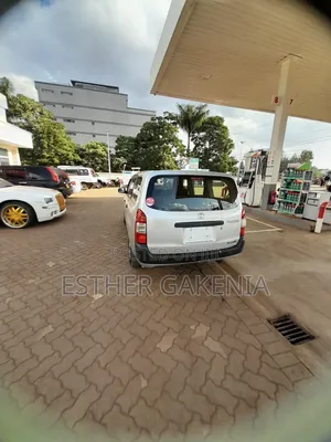 Toyota Probox 2019 Silver