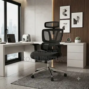Office Chairs; Fabricate Orthopedic Office Seat With Back Mesh Support