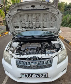 Toyota Corolla Fielder 2009 White