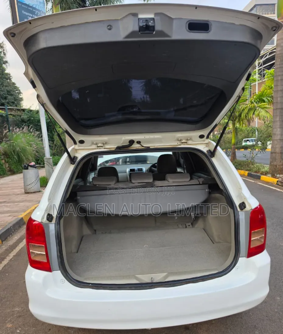 Toyota Corolla Fielder 2009 White