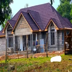 Building and Construction Consultant