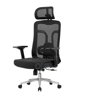 Office Chair : High-Back Ergonomic Mesh Fabric Office Chair