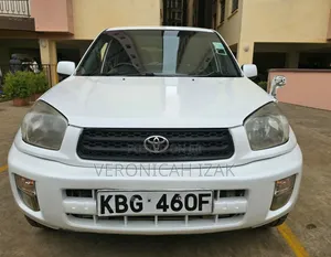 Toyota RAV4 2002 White