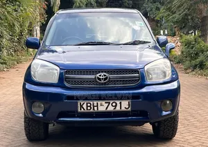 Toyota RAV4 2004 Blue